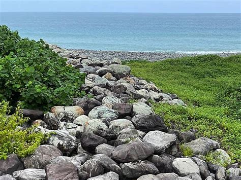 南田石罰款|台東 未經報備撿拾南田石 最高罰500萬